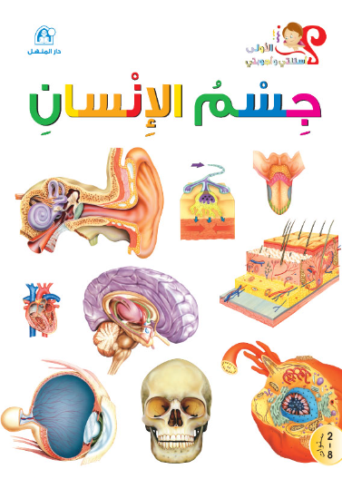  جسم الأنسان