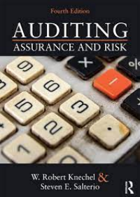 Auditing: Assurance and Risk, 4e