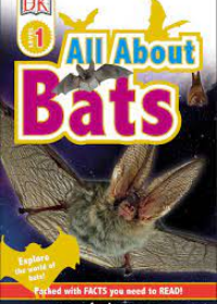 All About Bats