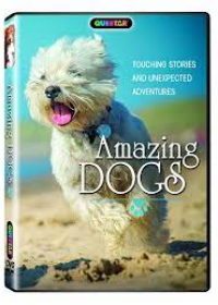 Amazing Dogs