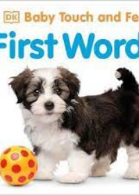 Baby Touch and Feel First Words