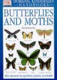 Butterflies and Moths