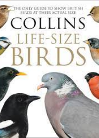 Collins Life-Size Birds