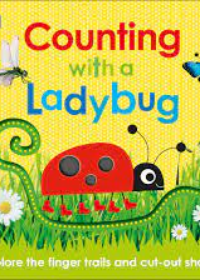 Counting with Ladybird