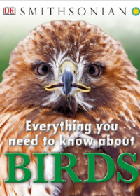 Everything You Need to Know About Birds