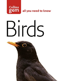 Gem Birds