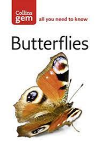 Gem Butterflies