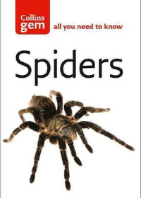 Gem Spiders