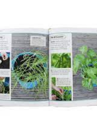 Grow All You Can Eat in 3 Square Feet