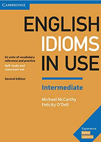 English Idioms in Use Intermediate Book with Answers, 2E