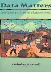 Data Matters - Conceptual Statistics for a Random World (WSE)