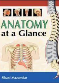 Anatomy at a Glance