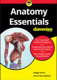 Anatomy Essentials For Dummies