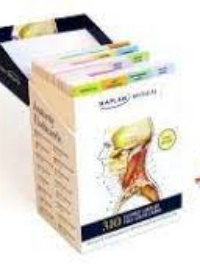 Anatomy Flashcards, 3e