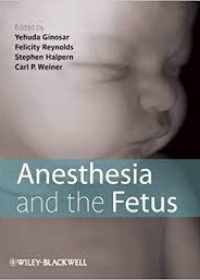 Anesthesia and the Fetus