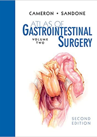 Atlas of Gastrointestinal Surgery, 2 Vol, 2e