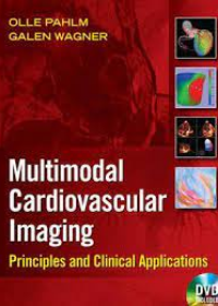 Cardiovascular Multimodal Image-Guided Diagnosis And Therapy