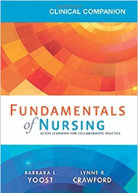 Clinical Companion for Fundamentals of Nursing, Active Learning for Collaborative Practice **