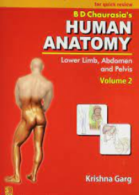 Companion Pocketbook for Quick Review B.D. Chaurasia's Human Anatomy: Lower Limb, Abdomen & Pelvis , Vol. 2