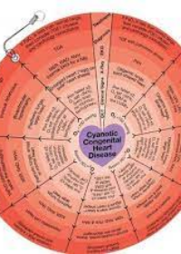 Cyanotic Congenital Heart Disease Wheel