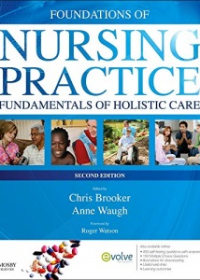 Foundations of Nursing Practice, 2nd Edition