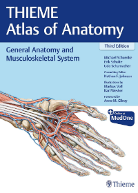 General Anatomy and Musculoskeletal System (THIEME Atlas of Anatomy), 3e