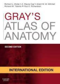 Gray's Atlas of Anatomy, 2nd Edition**