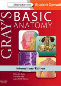 Gray's Basic Anatomy IE**