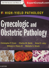 Gynecologic and Obstetric Pathology, A Volume in the High Yield Pathology Series **