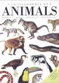 Animal Encyclopedia : Amphibians