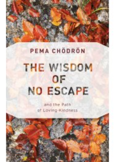Wisdom of No Escape