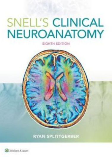 Snell's Clinical Neuroanatomy, 8e