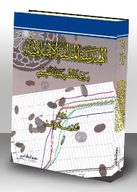 الهندسة المالية الاسلامية بين النظرية والتطبيق