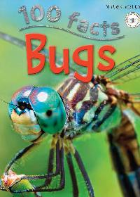 100facts-bugs