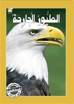 حيوانات مدهشة في العالم 06 :الطيور الجارحة
