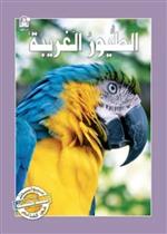  حيوانات مدهشة في العالم 07 :الطيور الغريبة