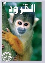 حيوانات مدهشة في العالم 08 :القرود