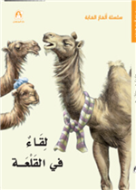 لقاء في القلعة