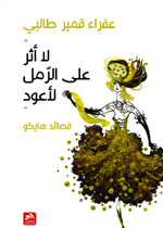 لا أثر على الرمل لأعود-هايكو 