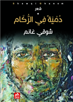 دمية في الركام 