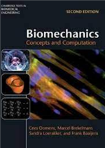 النظرية الاقتصادية التحليل الاقتصادي الجزئي