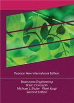 المضمون الاقتصادي لمعاهدات صدر الاسلام