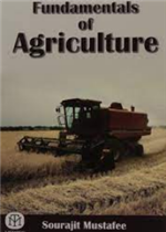 تصميم التعليم