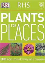 الفريد في النحو العربي