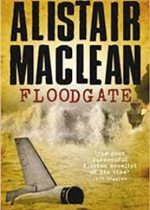 وثبة فوق الحياة ( رواية )