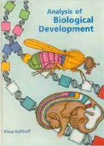 الملاحقة و التحقيق في الجرائم الالكترونية 