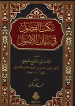 نكت الفصول في بيان الأصول